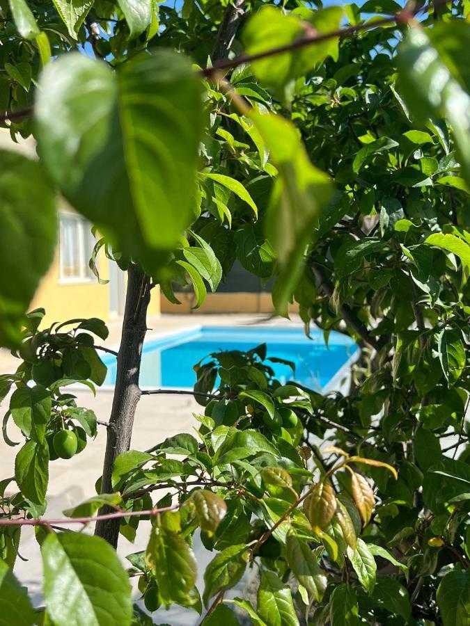 Casa Vacanze Mare Fuori Capoterra Εξωτερικό φωτογραφία